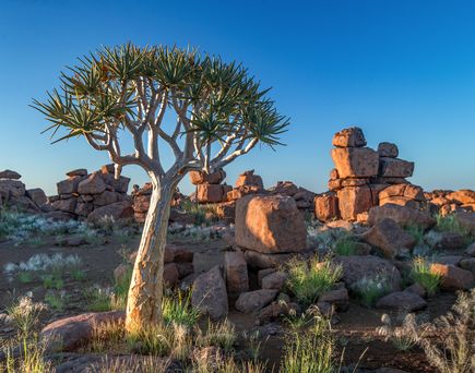 LAndschaft in Namibia