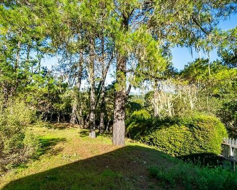 Cambria Pines Lodge-1