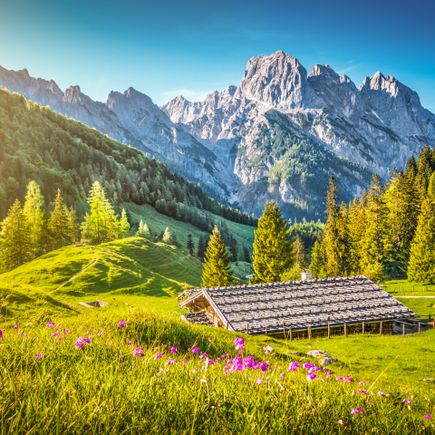 Familienurlaub Bauernhof Alpenpanorama mit Bauernhof
