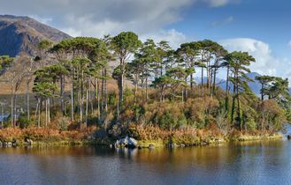 Connemara Urlaub Header