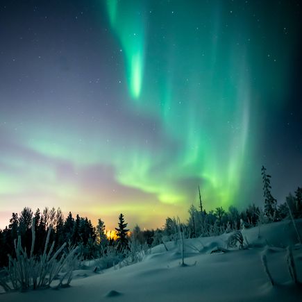 Polarlichter über einem schneebedecktem Feld in Finnland