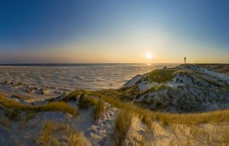 Eine Dünenlandschaft mit grünen Pflanzen dazwischen. Sonnenunterg, blauer Himmel.