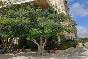 Hotel, Siente Tulum