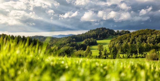 Bayerischer Wald