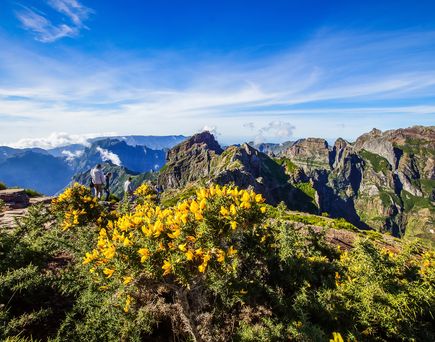 grüne Insel MAdeira