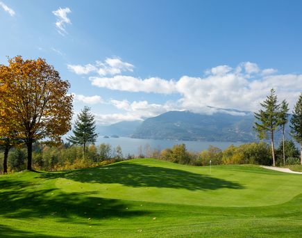 Grüne Landschaft mit See und Bergen im Hintergrund