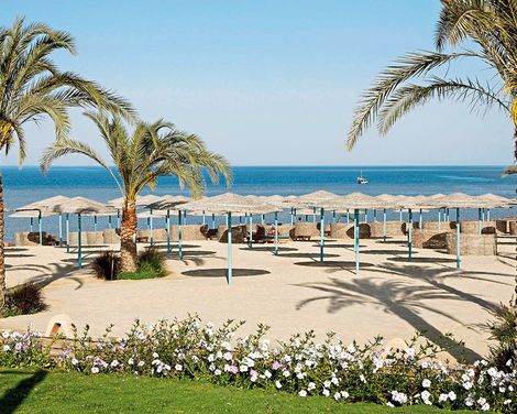 Three Corners Sunny Beach Resort-0