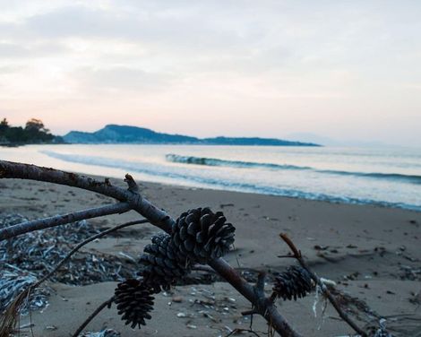 Paradise Beach Hotel-3