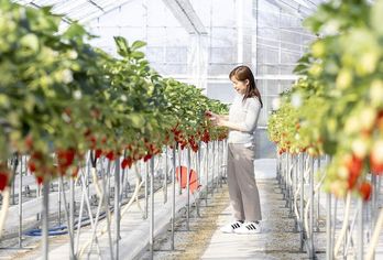 Mercure Kyoto Miyazu Resort & Spa