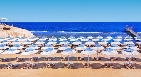 Solymar Reef Marsa
