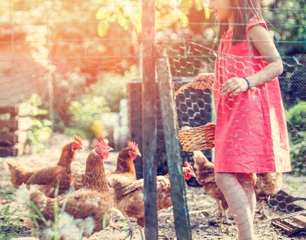 Familienurlaub Bauernhof Mädchen füttert Hühner