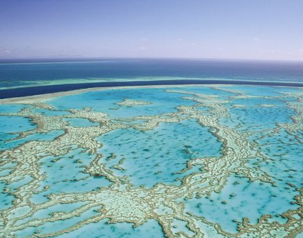 Luftaufnahme des Great Barrier Reefs mit türkisblauem Wasser und weit verzweigten Korallenformationen, die sich bis zum Horizont erstrecken