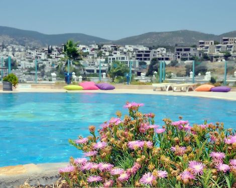 Siesta Beach Apartments-1