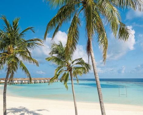 OUTRIGGER Maldives Maafushivaru Resort-3