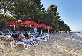 Hotel, Hotel Villa Bacchus