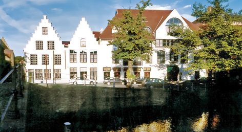 Golden Tulip de Medici 