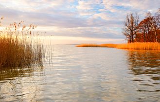 Ein See bei Sonnenuntergang mit warmem Licht, das sich im Wasser spiegelt, Bäume am Ufer.