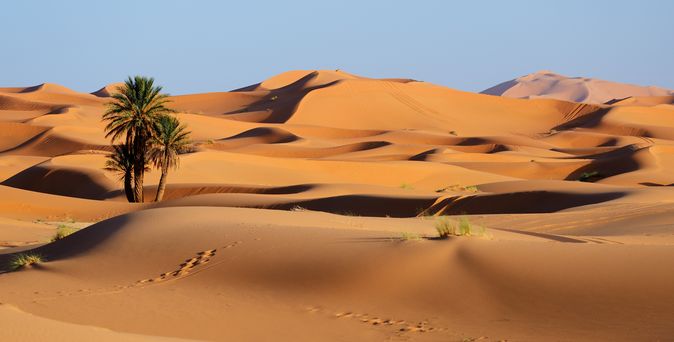 Eine Wüstenlandschaft mit roten Sanddünen und Palmen.