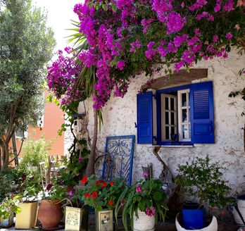 Blick auf weiße Häuserfassade auf Korfu