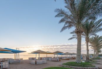 Hotel, Pickalbatros Royal Moderna Resort