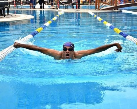 Paradise Home City Stars-1