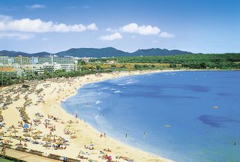 allsun App.-Hotel Orient Beach