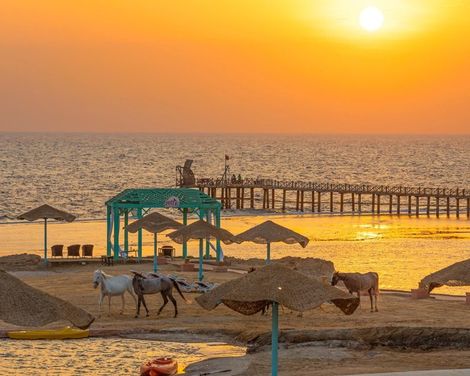 Radisson Blu Resort, El Quseir-3