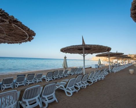Reef Oasis Beach Resort-0