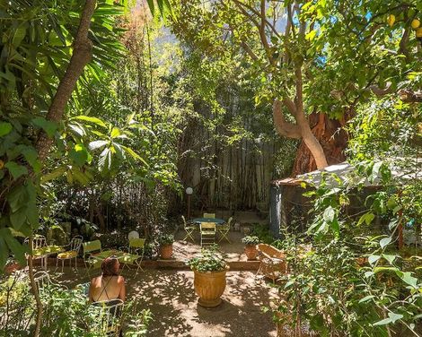 Le Windsor, Jungle Art Hotel-0