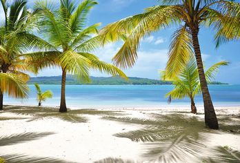 Senator Puerto Plata Spa & Resort