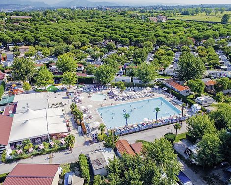 Camping Village Butterfly by Happy Camp-3