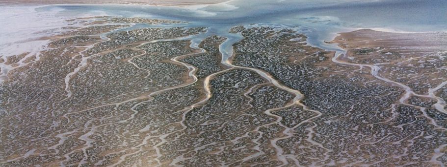 Wattenmeer Nordseekueste