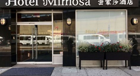 Hotel Mimosa