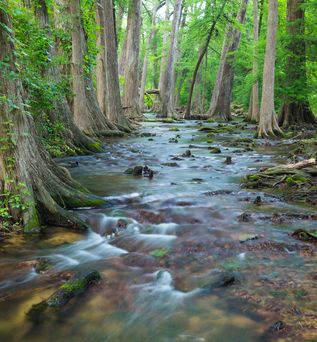 Hill Country_Cibolo-Nature-Centre