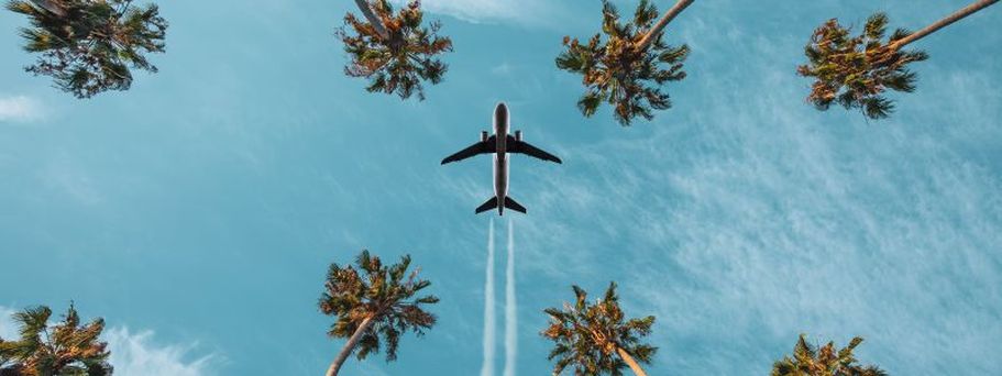 Ein Flugzeug fliegt über Palmen, die sich gegen einen blauen Himmel abzeichnen, während die Sonne untergeht.