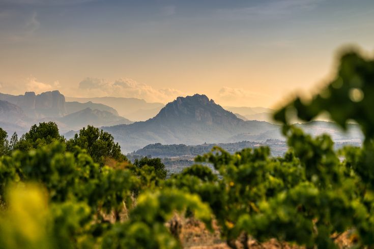 Spanien Festland - Katalonien