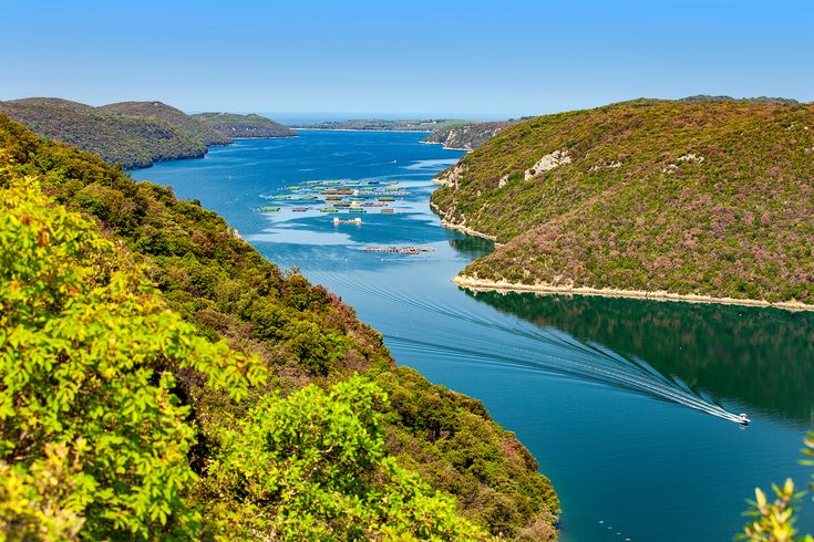 Bliuck auf das Limski Fjord