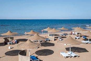 Calimera Blend Paradise