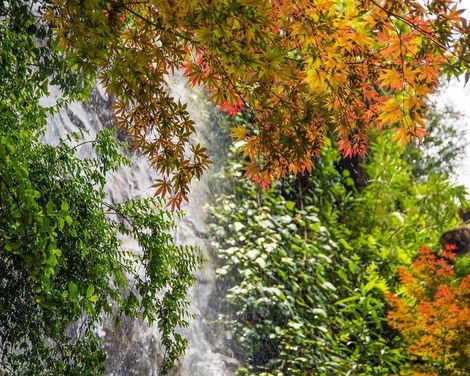 Inhala Hotel Garden-1