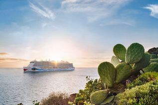 AIDA Cosma am Horizont auf hoher See