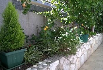 Hotel, Apartments Desa Petric