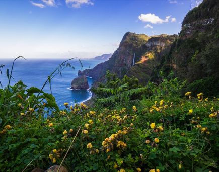Blick über Blumen zum Meer und zur Felsküste.