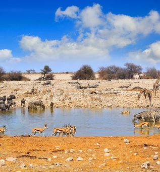 Camping Südafrika Oase