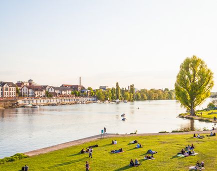 Auf den Neckarwiesen trifft man sich zum gemütlichen Picknick