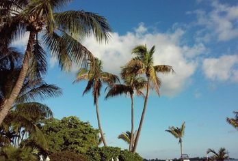 Hotel, The Laureate Key West