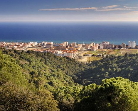 Sumus Hotel Monteplaya-3