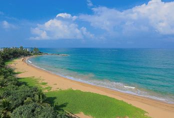 Hotel, Pandanus Beach Resort & Spa