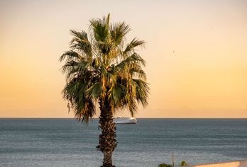 Hotel, Soho Boutique Hotel Las Vegas