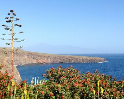 Hotel Jardin Tecina-0