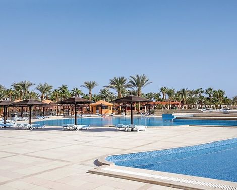 Calimera Blend Paradise-4